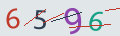 verifycode